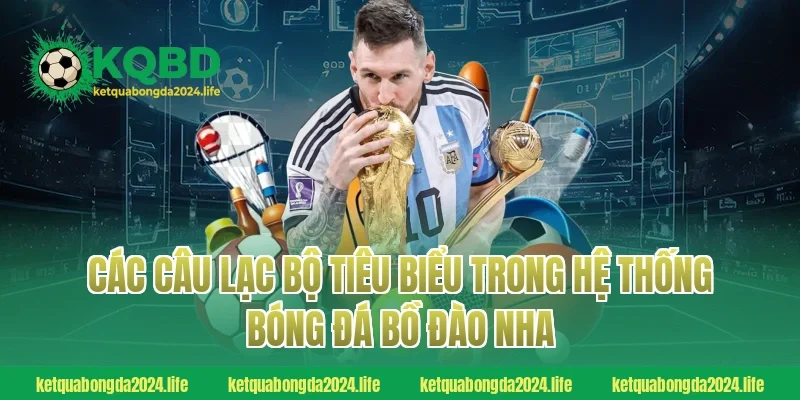 Các câu lạc bộ tiêu biểu trong hệ thống bóng đá Bồ Đào Nha