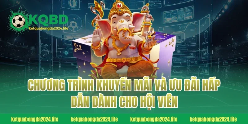 Chương trình khuyến mãi và ưu đãi hấp dẫn dành cho hội viên